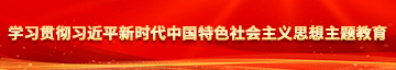 男人的香蕉插进女生的桃子里学习贯彻习近平新时代中国特色社会主义思想主题教育